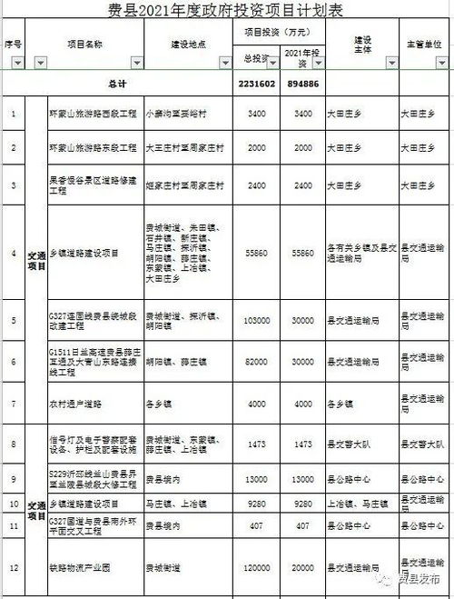 重磅发布 费县2021年实施政府投资项目近90亿